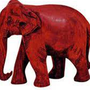 Red Elephant Vastu