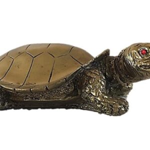 Tortoise (Kachukama)